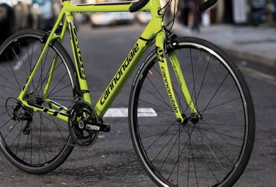 opinion cannondale